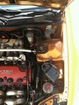 image-3995466208.jpg