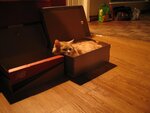Gizmo 002.JPG