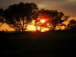 DSCF1749.JPG