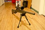 Savage1AS.jpg