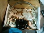 2012-03-03 18.05.04.jpg