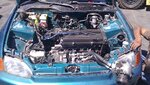 IMAG0393.jpg