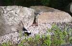 IMAG0020-1.jpg
