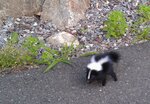 IMAG0024-1.jpg
