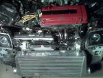 IMG00183.jpg