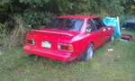 IMAG0290.jpg