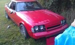 IMAG0293.jpg