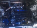IMG_20130301_190552.jpg