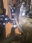 IMG_20130324_223901.jpg
