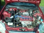 IMG_20130531_162832.jpg