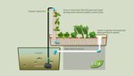 Aquaponic-Basil-Tower.jpg