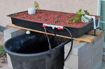 cheap-aquaponics-system.jpg