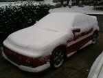 Picture 021.jpg