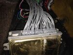 wires3.JPG