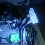 Wiring Harness D15B.jpg