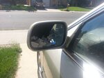 20140926_142634.jpg