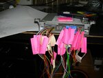 10380100_4805839600405_310650924159406697_o.jpg