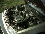 hatch 006.jpg