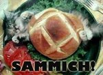 cat-food.jpg