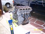 100_0276.jpg