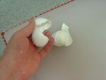 DSC03036.JPG