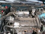 LS motor.jpg