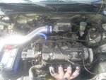 Rons Crx 013.jpg