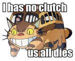 catbus.jpg