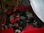 94tt 001.jpg