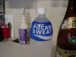 DSC00131.JPG