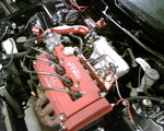 IMG00058.jpg