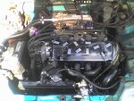 motor.jpg