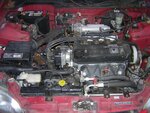 DSCN1163.JPG