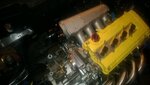 11099898_10205066066325733_867060122_n.jpg