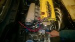 WP_20160322_001.jpg