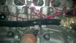 WP_20160406_010.jpg