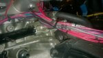 WP_20160330_005.jpg