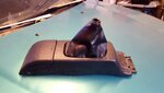 20160714_190410.jpg