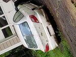 20180528_162912.jpg