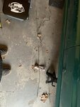 7450B6FD-AE0D-4A03-87C4-65CA1977997F.jpeg