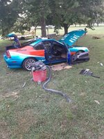 IMG_20210411_004643.jpg