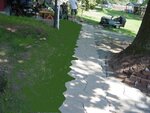 walkway grass.JPG