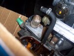 100_2295.JPG
