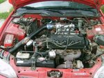 civic2.jpg
