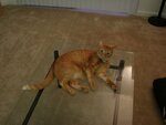 DSC03563.JPG