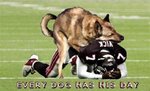 vick.JPG