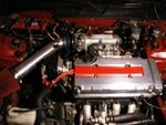 DSCF0738.JPG