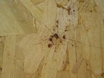 DSC00786.JPG