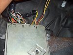 S5001324.JPG