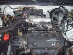 S5001328.JPG
